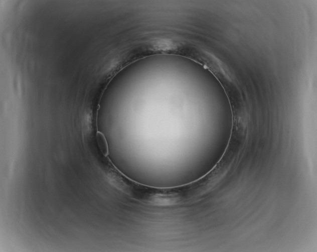 X0000112950556200908311511