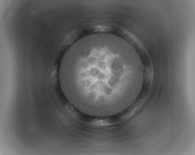 X0000112950557200908311511