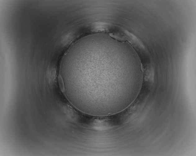 X0000112950560200908311511