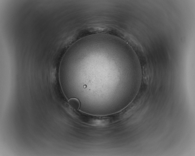 X0000112950563200908311512