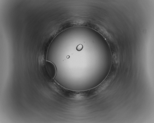 X0000112950564200908311512