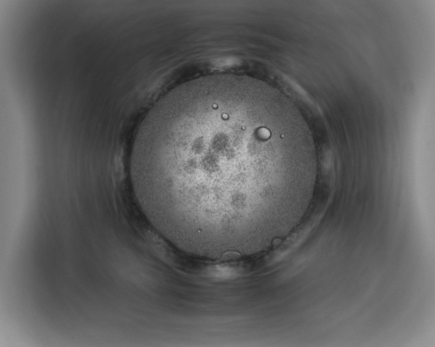 X0000112950565200908311512