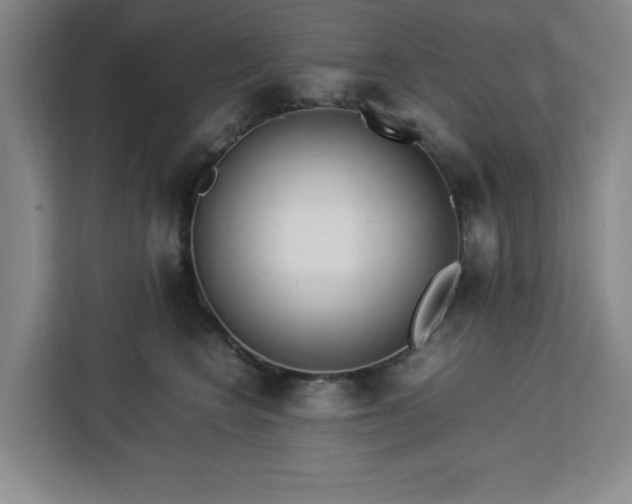 X0000112950566200908311512