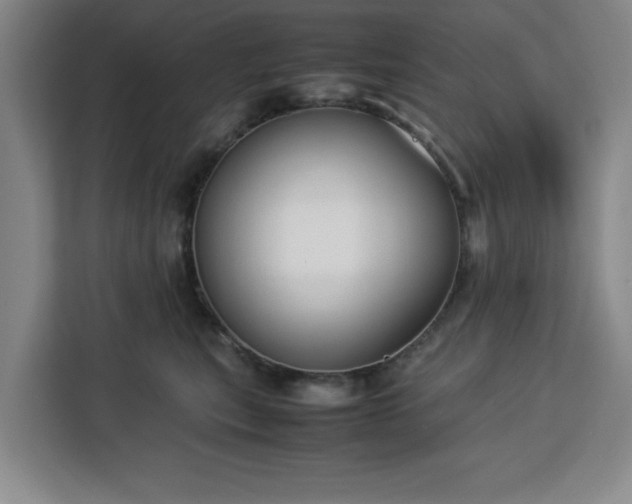 X0000112950567200908311512