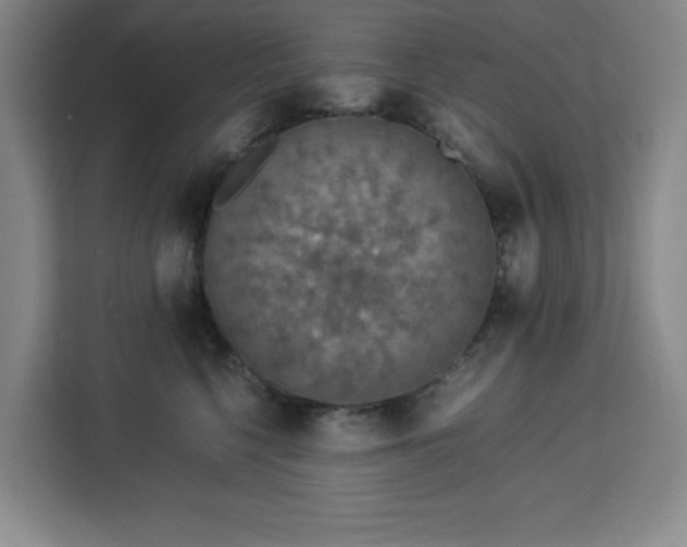 X0000112950568200908311512