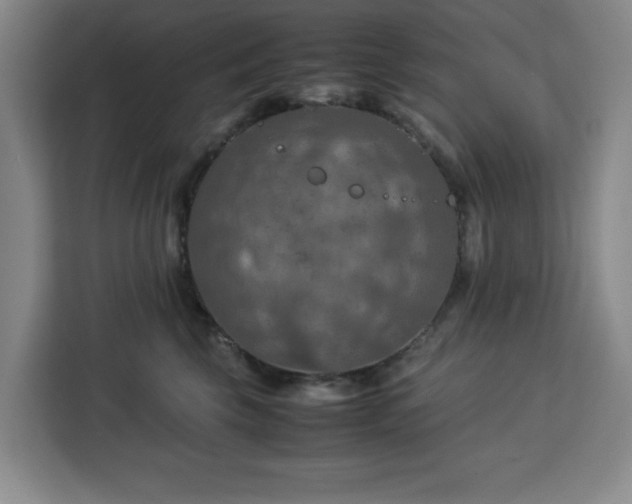 X0000112950569200908311512