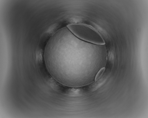 X0000112950570200908311512