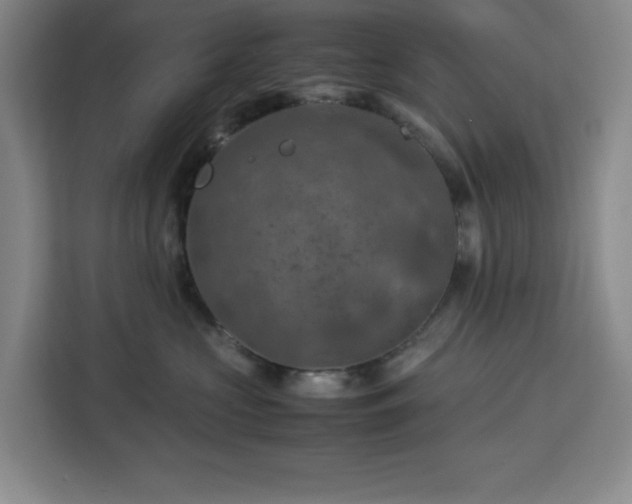 X0000112950573200908311512