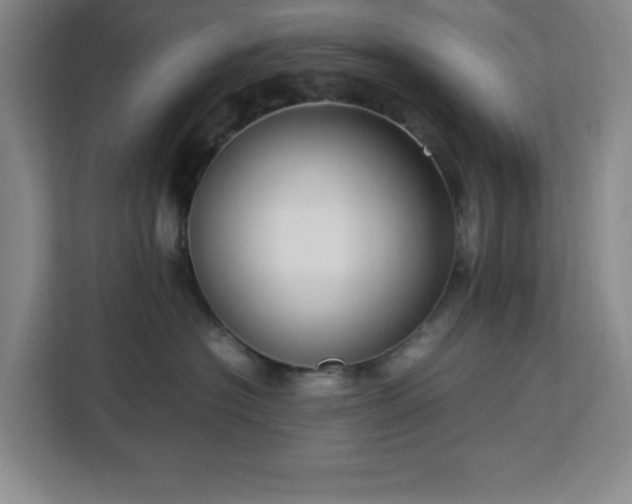 X0000112950574200908311512