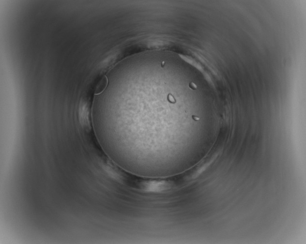 X0000112950575200908311512