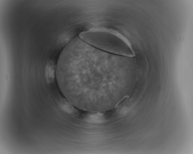 X0000112950576200908311512