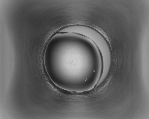 X0000112950577200908311511