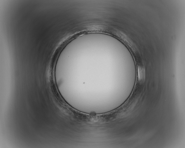 X0000112950579200908311511