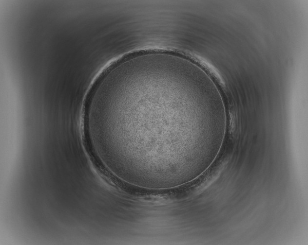 X0000112950580200908311511