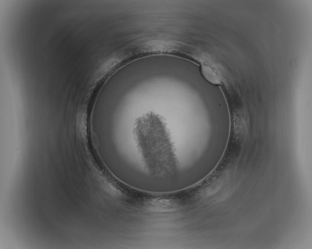 X0000112950581200908311511