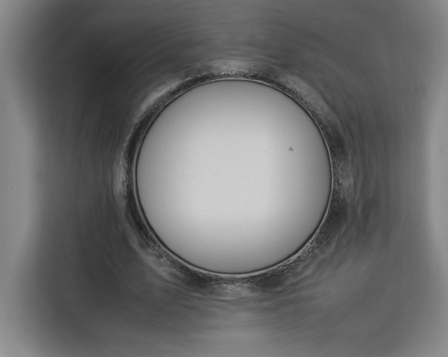 X0000112950583200908311511