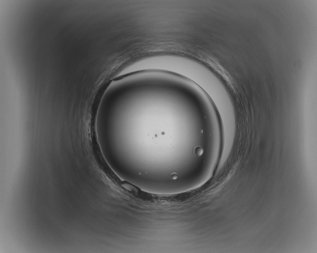 X0000112950585200908311511