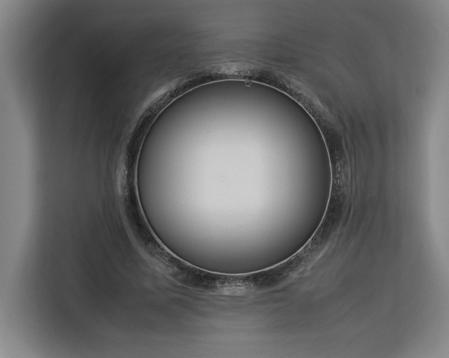 X0000112950587200908311511