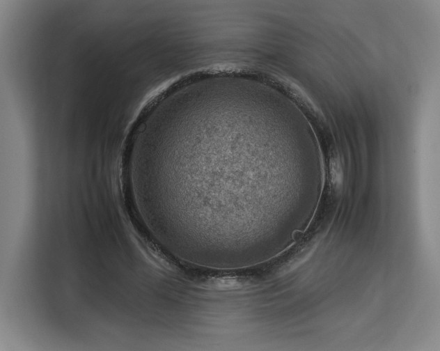 X0000112950588200908311511