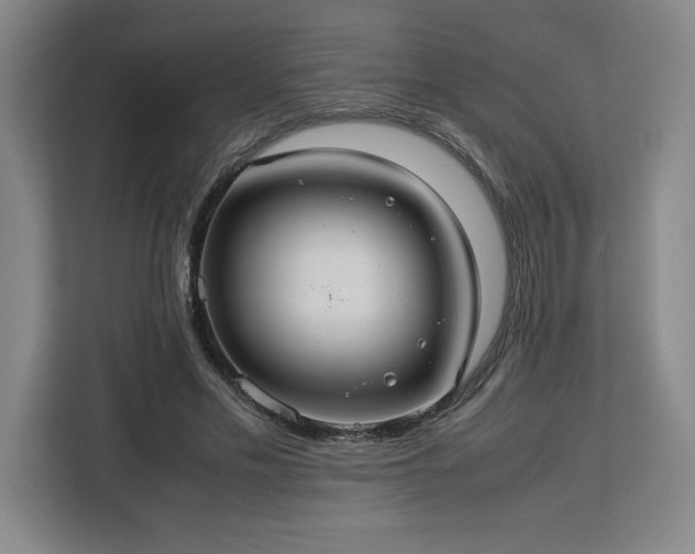 X0000112950589200908311511