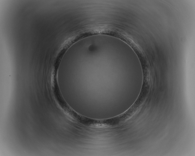 X0000112950590200908311511