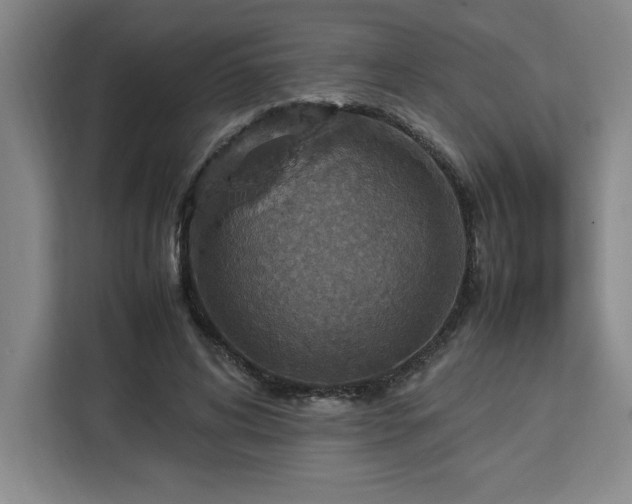 X0000112950592200908311511