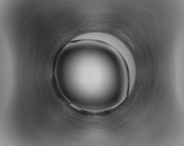 X0000112950593200908311511