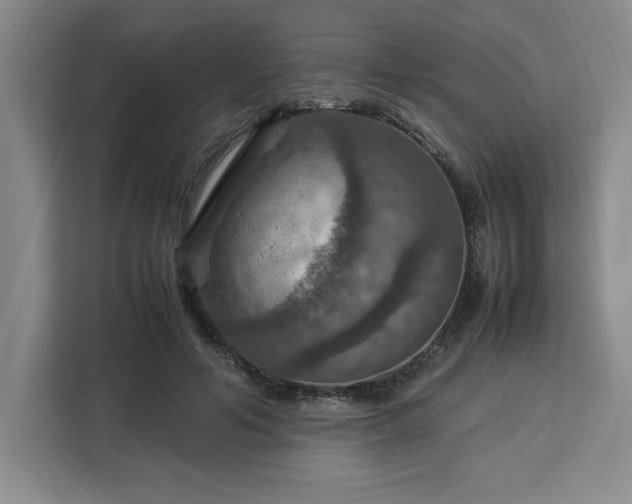 X0000112950594200908311511