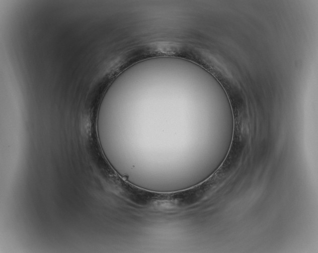 X0000112950595200908311511