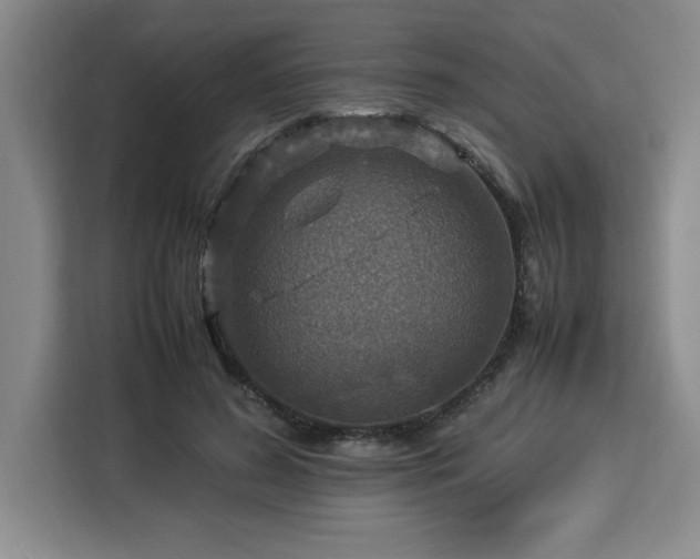 X0000112950596200908311511