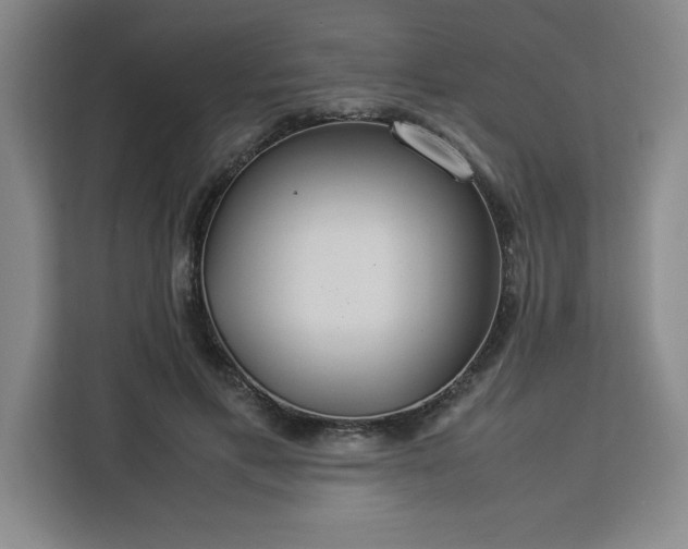 X0000112950597200908311511