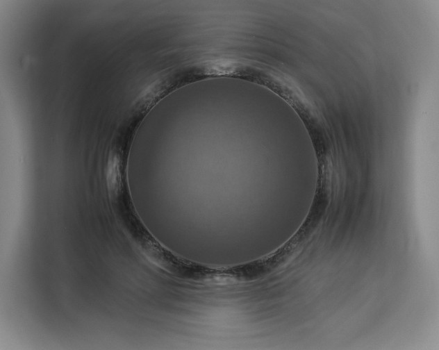 X0000112950598200908311511