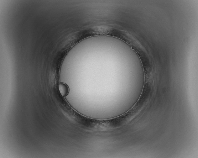 X0000112950599200908311511