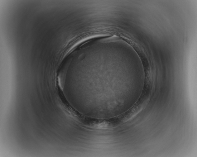 X0000112950600200908311511