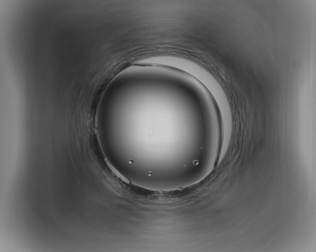 X0000112950601200908311511