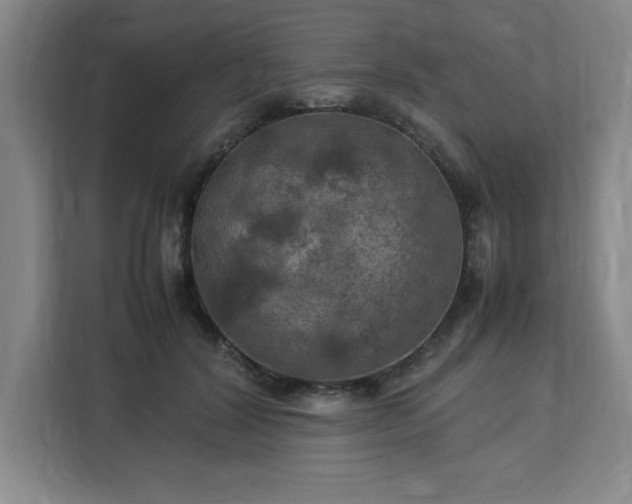 X0000112950604200908311511