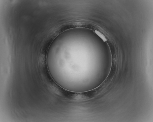 X0000112950605200908311511