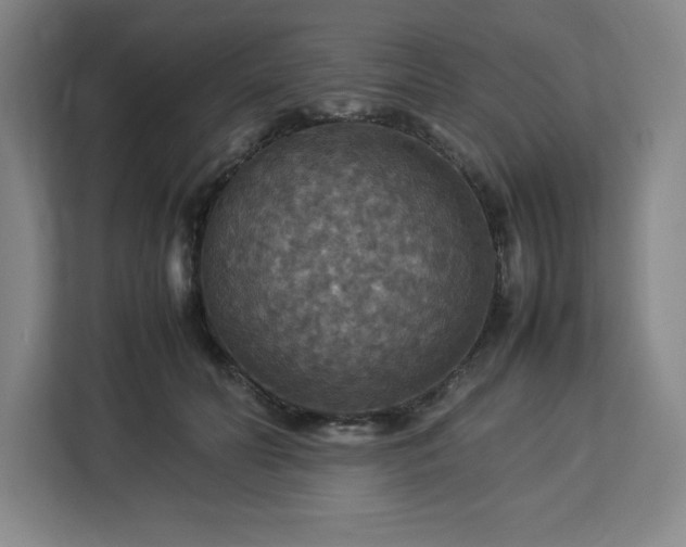 X0000112950606200908311511