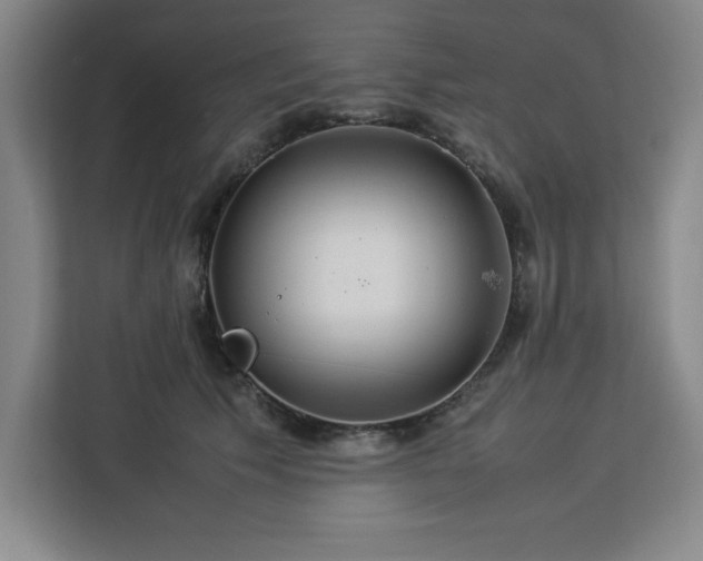 X0000112950609200908311511