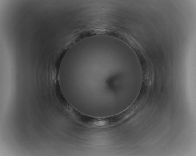 X0000112950610200908311511