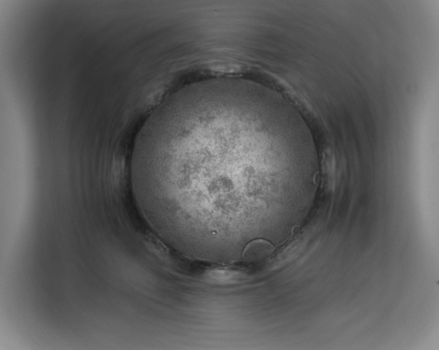 X0000112950614200908311511