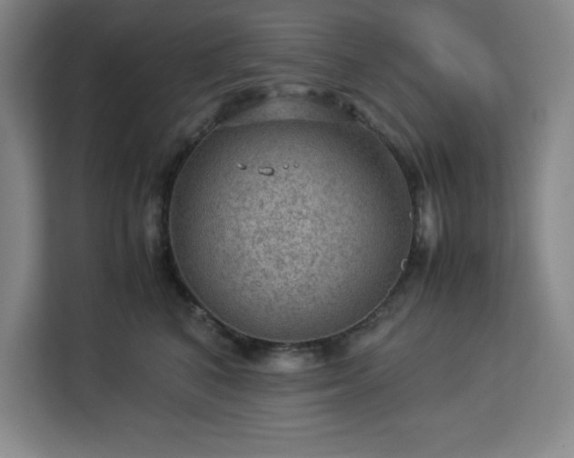 X0000112950616200908311511