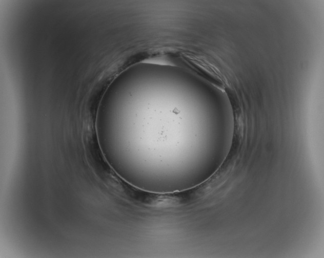 X0000112950617200908311511