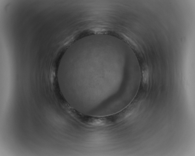 X0000112950618200908311511