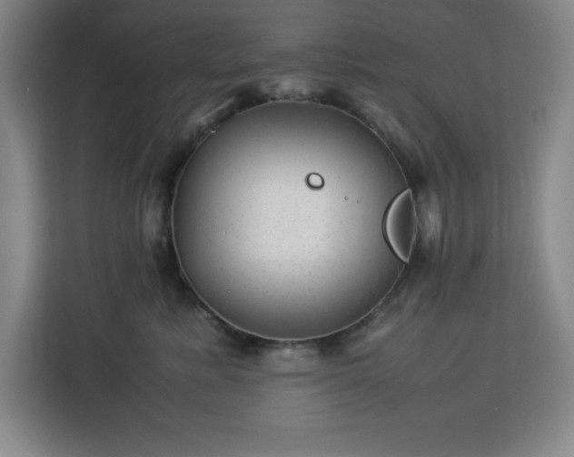 X0000112950619200908311510