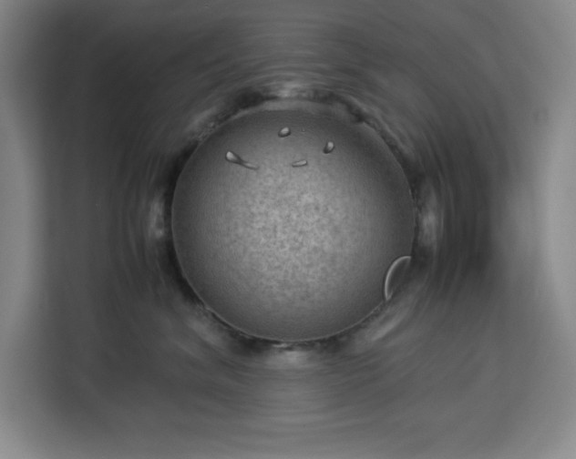 X0000112950620200908311510