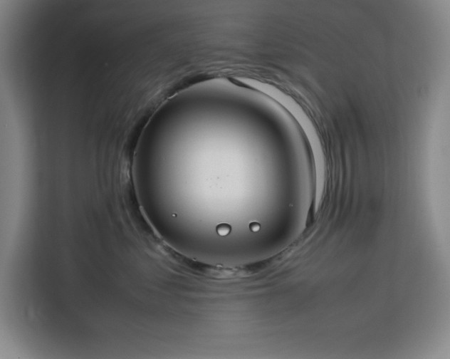 X0000112950621200908311510