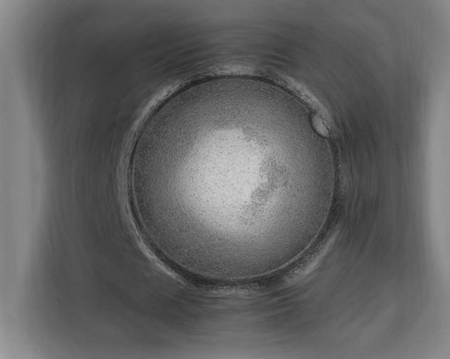 X0000112950625200908311510