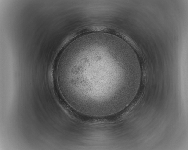 X0000112950626200908311510