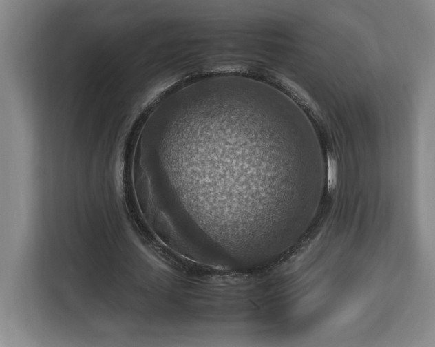 X0000112950627200908311510